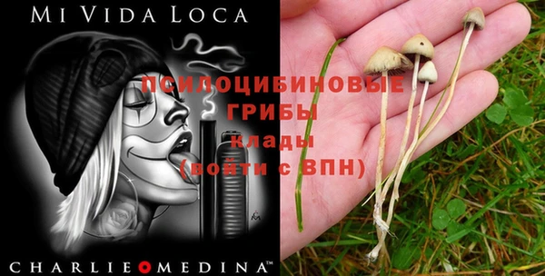 круглые Лабытнанги