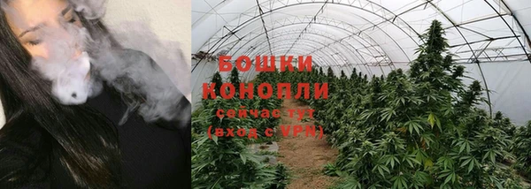дурь Лиски