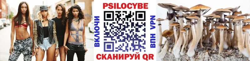 Галлюциногенные грибы MAGIC MUSHROOMS Новоалександровск